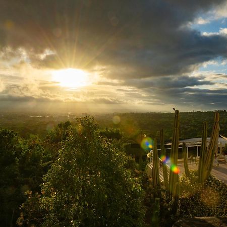 Panorama Guest House ケープタウン エクステリア 写真