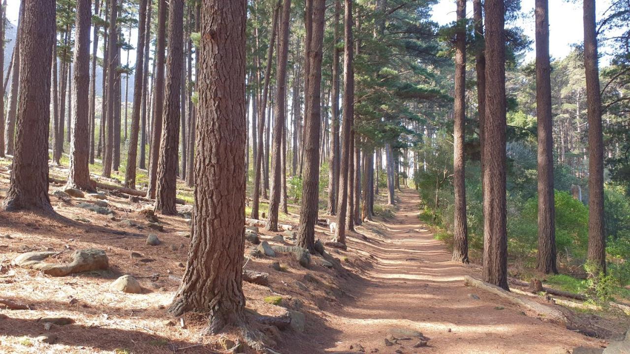 Panorama Guest House ケープタウン エクステリア 写真